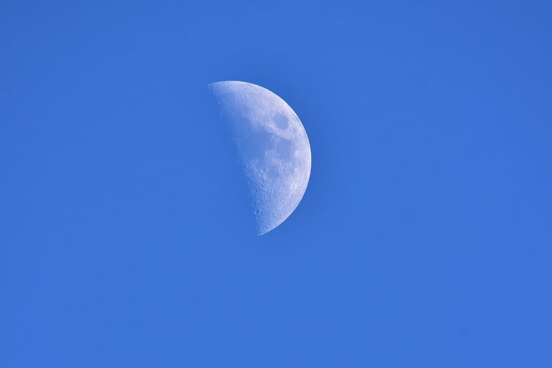 Moonlit Wedding